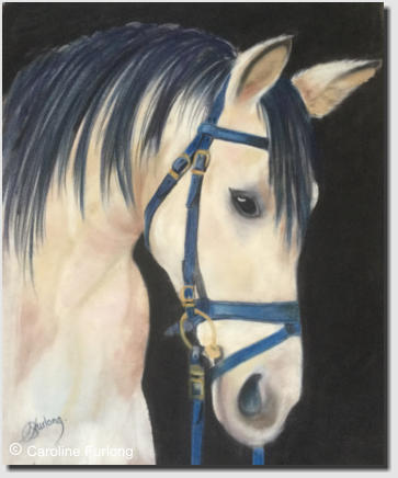  Caroline Furlong