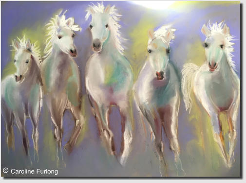  Caroline Furlong