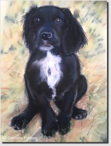  Caroline Furlong