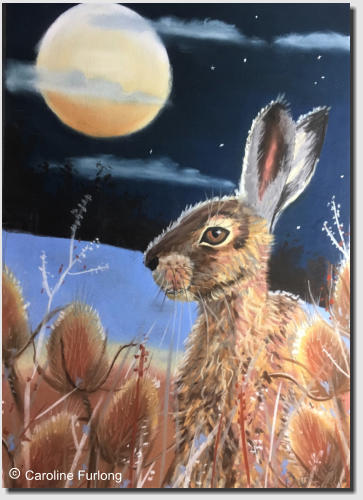  Caroline Furlong