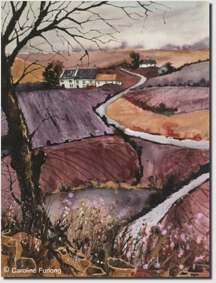  Caroline Furlong