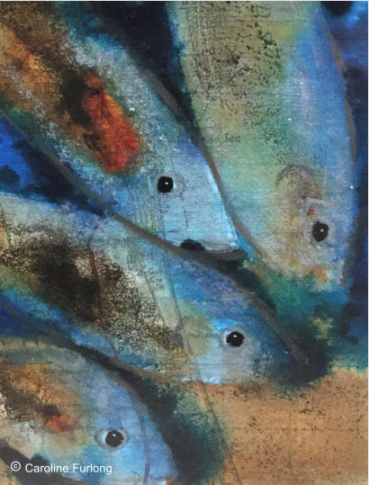  Caroline Furlong